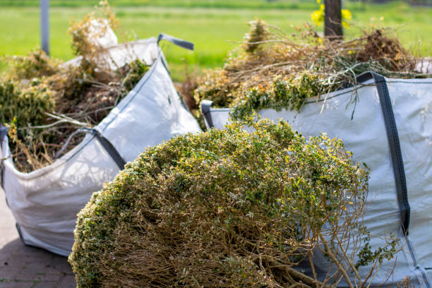 Demolition Debris Removal in Wells, NV